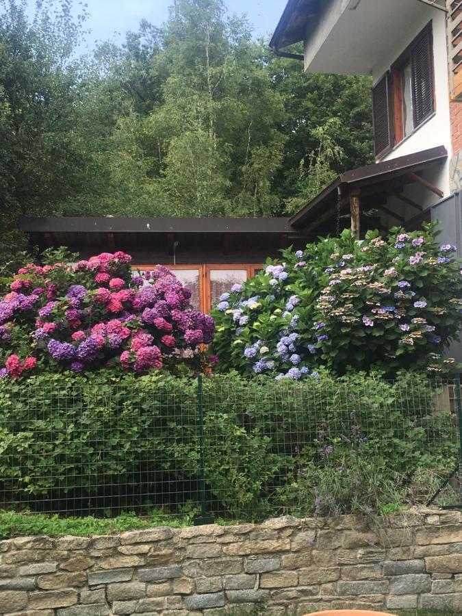 Lo Scoiattolo Bed & Breakfast Giaveno Bagian luar foto